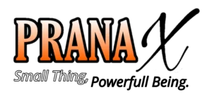 Picsart_23-12-05_13-36-57-767